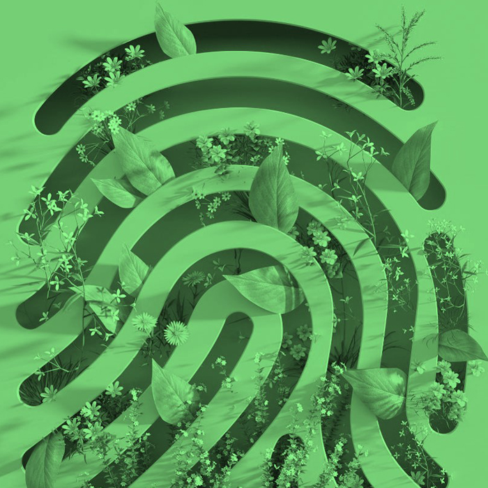 Imagen conceptual