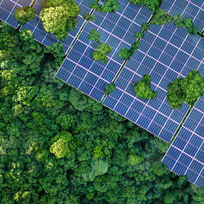 Placas solares